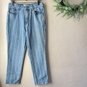 PacSun Window Pane Striped Mom Jeans